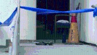 Woman, 95, charged with murder for fatal beating of nursing home resident: NYPD
