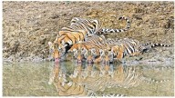 From Hunter's Legacy To Lens: Baby Nayana's Journey As A Wildlife Photographer