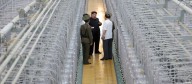 La condición de potencia nuclear es irreversible