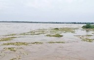 Odisha Rivers Swell After Heavy Rains, Officials Assure No Immediate Flood Risk