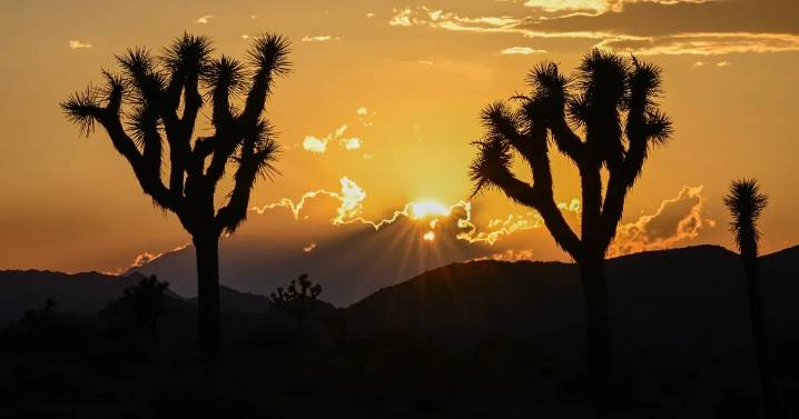 What a government shutdown will mean for Californians, from Social Security to national parks