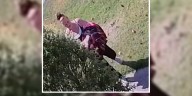 Person dumps dog on Dickson resident’s front lawn, police investigating