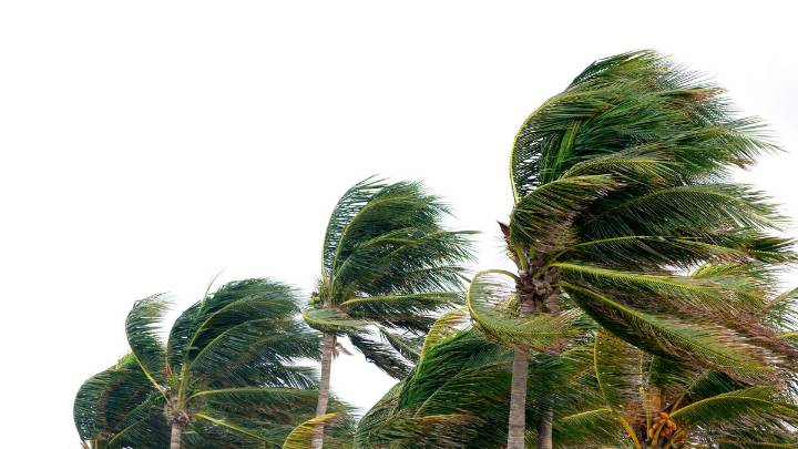 Tropical Storm Watches Issued As Tropical Depression Nine Strengthens
