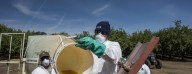 Trump Health Strategy Focuses on Chemical Research, Not Rules