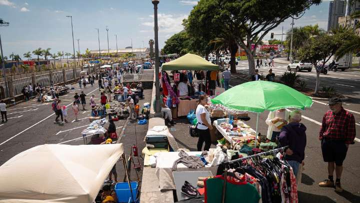 Santa Cruz de Tenerife compra 401 carpas blancas para que el Rastro sea más atractivo