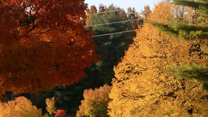 Orchards, festivals, markets: A guide to fall 2025 in the mid