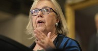 May asks to stay on as Green leader after announcing plans to step aside