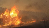 Wildfires Burn Over 30 Per Cent Of Etosha National Park In Namibia