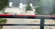 Phoenix vive el día más lluvioso en 7 años: al menos 4 muertos y devastación por lluvias históricas