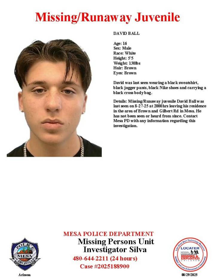 David Ball, 16, missing from Mesa, police say