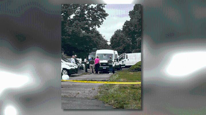3 people arrested after 19 animals seized from Cheshire home