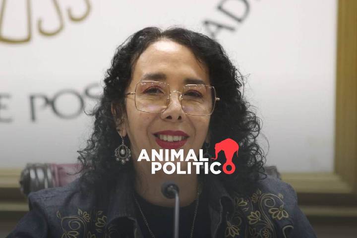 Sin indicios de vínculos entre diputada de Morena Hilda Brown y Los Mayos, dice Sheinbaum