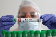 Bird flu alert after virus found in wildlife at Cork’s Lough attraction