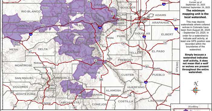 Wolf activity reported in Mesa County
