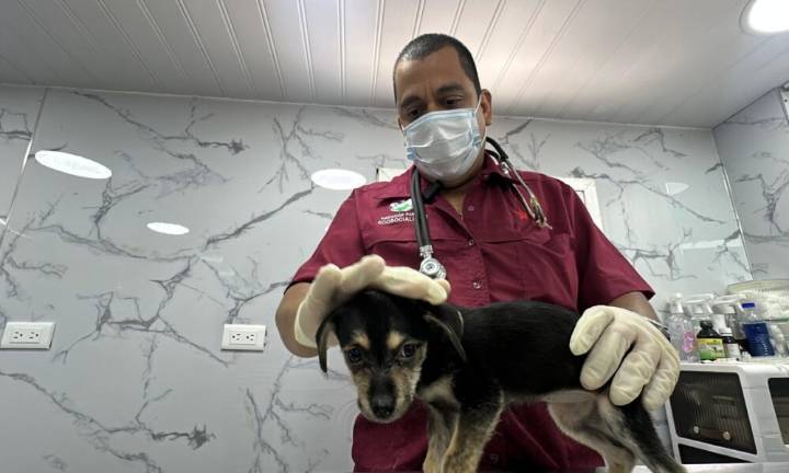 Clínica veterinaria móvil estrena Alcaldía de Caracas
