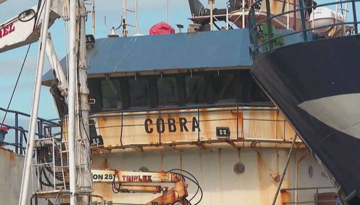 Caso Bruma: informe pide cancelar de por vida la licencia de capitán del buque Cobra