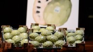 La campaña de la chirimoya en Granada prevé una recolección de 45.000 toneladas