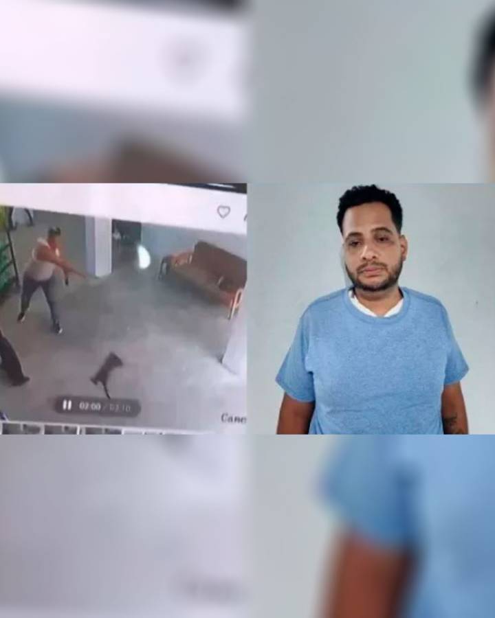 Imputaron a individuo por maltratar a un gato