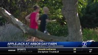 WATCH: What you need to know about this year's Applejack Festival at Arbor Day Farm