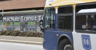 Hamilton bus driver charged after crash with two cyclists