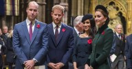 Kate Middleton's plans during Prince Harry visit confirmed