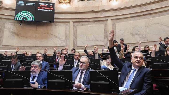 La oposición define su estrategia en el Senado para revertir los vetos de Milei al financiamiento educativo y de salud