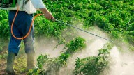 En Misiones eliminaron la fecha límite para usar glifosato