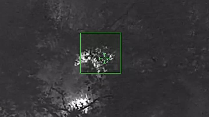 Florida deputy encounters bear in search for suspect. See video