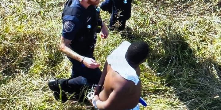 Police K-9s help find suspect in field during manhunt in Lebanon