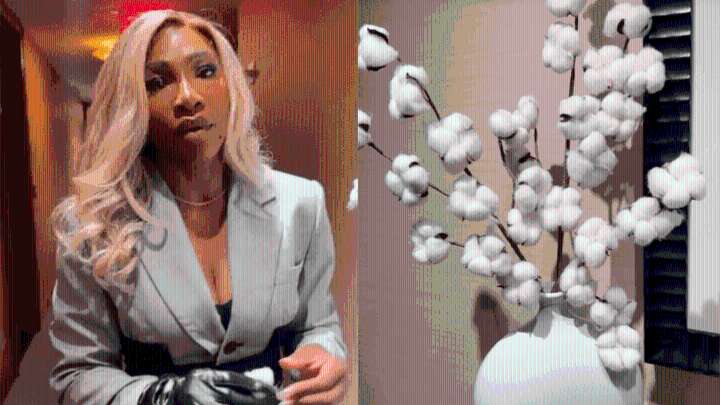 Serena Williams Questions Cotton Plant Decor In NYC Hotel
