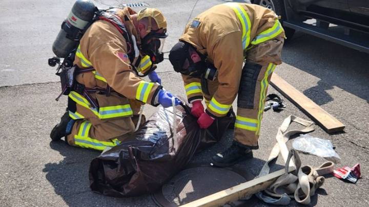 Dead dog found in grease pit at Madison Heights restaurant