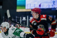 Red Wings prospects fade in third period in loss to Stars