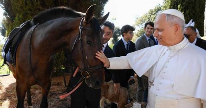 El caballo de Pura Raza Española convertido en símbolo mundial en el Vaticano