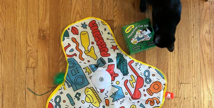 This Interactive Cat Toy Keeps Our Kitten Busy for Hours
