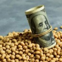Quiénes son los 11 grandes exportadores del Agro que embolsaron U$S 1.500 millones por el negocio que les regaló Caputo