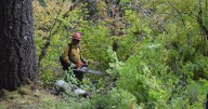 Foley Ridge Fire expands to 249 acres; crews work to contain blaze