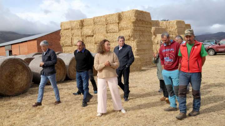 La Junta entrega miles de kilos de alimentos a 284 ganaderías afectadas por los incendios en CyL: "Actuamos con rapidez"