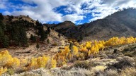 Are we losing an hour or gaining an hour at end of daylight saving time? A fall guide
