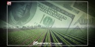 The federal farm policy trap: Why some farmers are stuck raising crops that no longer thrive