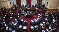 El Senado rechazó definitivamente el veto a la ley de discapacidad
