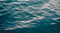 19-year-old Illinois man drowns at Lake of the Ozarks – NBC Chicago