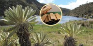Soto Norte: la mina de oro en Santander impulsada por Canadá y Emiratos Árabes, criticada por su cercanía al páramo de Santurbán
