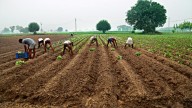 Govt allocates Rs 1,500 cr for Marathwada farmers hit by heavy rains