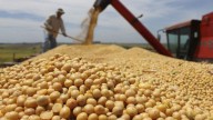 Un entidad del campo habló de "negociado" entre el Gobierno y las cerealeras Lo hizo el vicepresidente de Confederaciones Rurales Argentinas, Javier Rotondo. Dijo que la eliminación temporal de las re