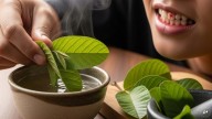 Bleeding Gums Or Bad Breath? Chew This Plant's Leaf For Quick Relief