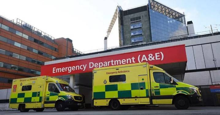 Toddler suffered constipation so severe it 'squashed' his organs and left him screaming in pain