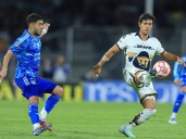 Duelo de felinos en Ciudad Universitaria acaba en empate