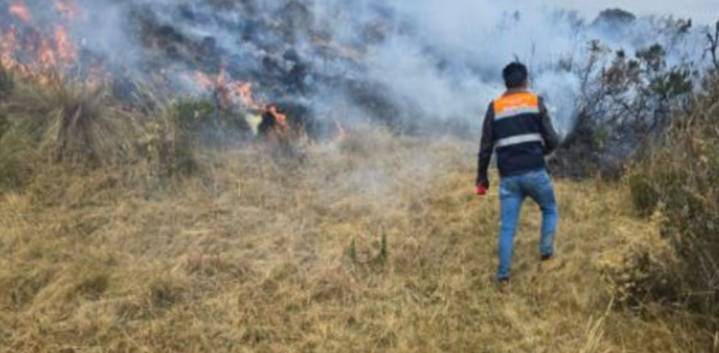 Extinguen incendios forestales en seis regiones: 39 hectáreas quedaron destruidas