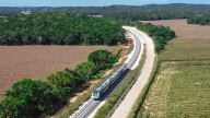 No encuentran quién proteja la fauna silvestre alrededor del Tren Maya