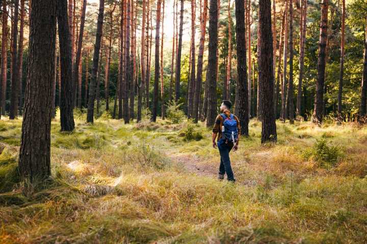 Barton Goldsmith column: 10 ways to appreciate your life